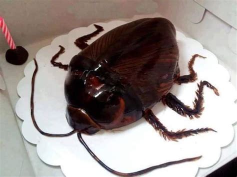 바퀴벌레 케이크